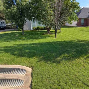 yard service by MikesLawncare reviewed on August 17, 2025