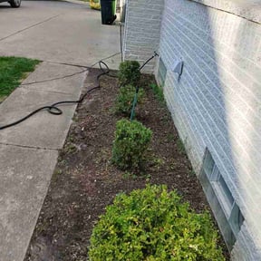 Leaf Removal by Angel lawn services reviewed on May 2, 2026