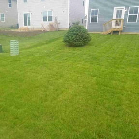 yard care by Lawn barber reviewed on November 24, 2025