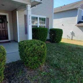 Bush Trimming by bjourklund landscaping reviewed on August 16, 2025