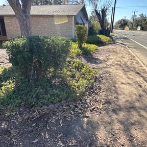 Bush Trimming by M. Reyes Lawn Service reviewed on August 21, 2025