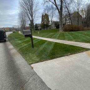 landscaping services by All works llc reviewed on August 17, 2025