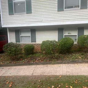 Bush Trimming by Much Obliged Lawn Care reviewed on October 19, 2025