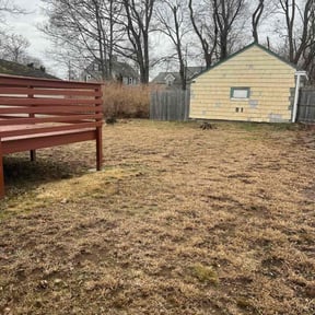 Leaf Removal by MONROEVIA SMALL ENGINEERING &amp; Landscapes reviewed on December 11, 2025