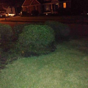 Bush Trimming by Frederickson Lawn Management reviewed on August 14, 2025