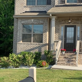 Bush Trimming by Skillset solutions reviewed on August 19, 2025