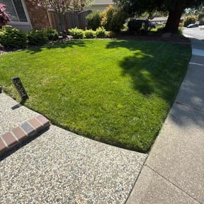 turf care by Western Landscape reviewed on June 17, 2025