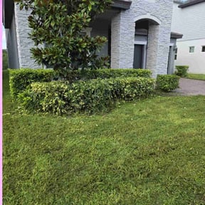 Bush Trimming by Rios Enterprise Lawn Mowing Services LLC reviewed on August 18, 2025