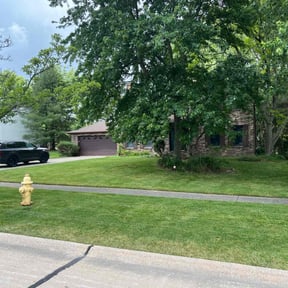 yard service by Bright Landscaping Services reviewed on August 15, 2025