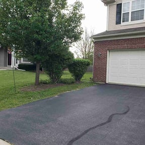 Bush Trimming by Lowcountry yard maintaince reviewed on August 20, 2025