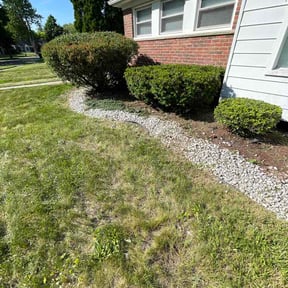 Flower Bed Weeding by Expert lawn reviewed on August 21, 2026