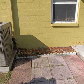 Bush Trimming by Francisco amaya reviewed on November 26, 2025