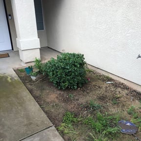 Bush Trimming by Biggs customs reviewed on August 15, 2025