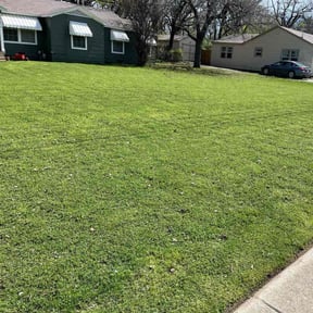 yard care by Royal Scenery LLC reviewed on August 18, 2025