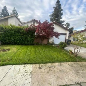 lawn care services by Lamar's Mowing Company reviewed on August 25, 2023