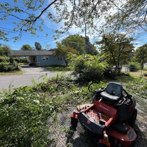 Bush Trimming by Mora Landscaping reviewed on October 22, 2025