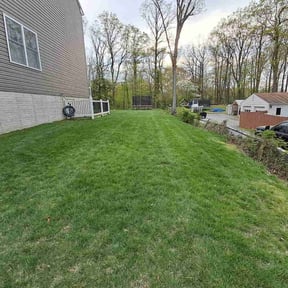 gardening service by Francisco amaya reviewed on November 20, 2024