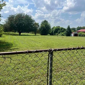 yard service by Curry&#039;s mowing reviewed on August 18, 2025