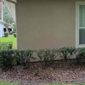 Bush Trimming by Part Time Hubby reviewed on July 31, 2026