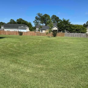 lawn service by Charleston Green Team LLC. reviewed on September 20, 2023