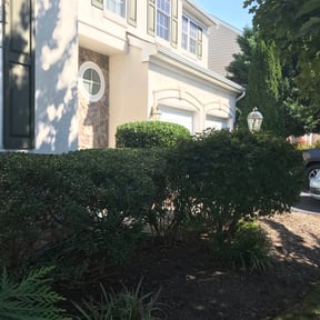 Bush Trimming by C & M Lawn Service reviewed on August 16, 2025