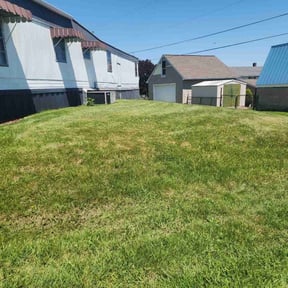 turf maintenance by Flores Lawn Care Co. reviewed on May 4, 2024