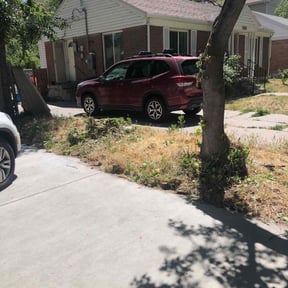Bush Trimming by 5 J's Lawn Care Service reviewed on August 18, 2025
