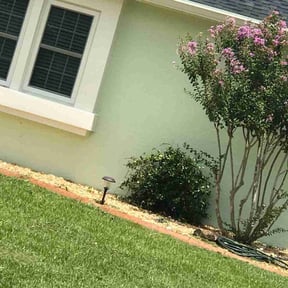 Bush Trimming by Krenik lawn services reviewed on October 23, 2025