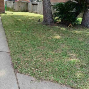 lawn care by 100% Landcare reviewed on September 1, 2023