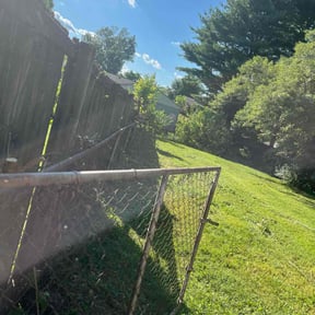 Bush Trimming by Lawnawn, LLC reviewed on August 19, 2025