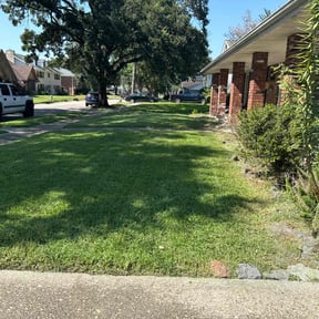 landscaping services by A.P. Lawn and Handyman services reviewed on August 20, 2025