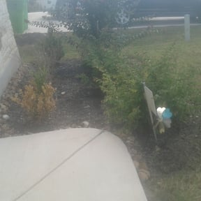 Flower Bed Weeding by Velasco Landscaping reviewed on August 20, 2025
