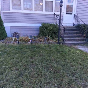 Bush Trimming by Home services reviewed on January 20, 2026