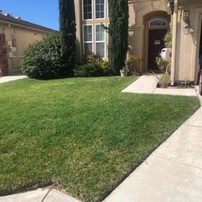 landscaping services by M Lawn Care & Landscape reviewed on August 18, 2025