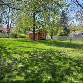 grass cutting by Morales Lawn Care reviewed on October 31, 2023