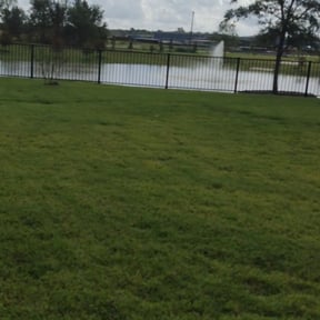 Bush Trimming by Westfield Lawn and Mulch reviewed on August 19, 2025