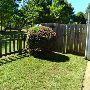 Bush Trimming by Weed Whacker Lawn Care reviewed on August 17, 2025