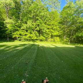residential landscaping by Divine Lawn Care reviewed on August 21, 2025