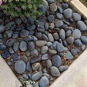 Flower Bed Weeding by TLC Property reviewed on November 10, 2025