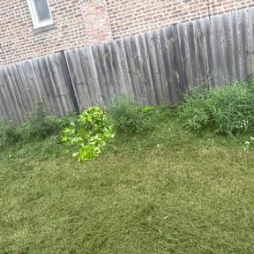 Bush Trimming by Tim Michalak reviewed on December 1, 2025