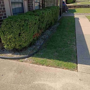 Bush Trimming by Delgado Landscaping and Garden reviewed on March 23, 2026
