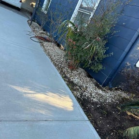 Flower Bed Weeding by Jennifer Runyon reviewed on August 19, 2025