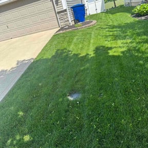 gardening service by R+Care Lawn Services reviewed on November 28, 2025