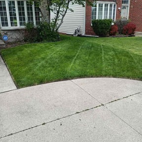 gardening service by Lawnservice&maintenance LLC reviewed on August 20, 2025