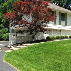 yard service by My Master Garden reviewed on January 8, 2026