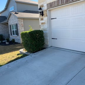 Bush Trimming by 66landscaping.com reviewed on August 18, 2025