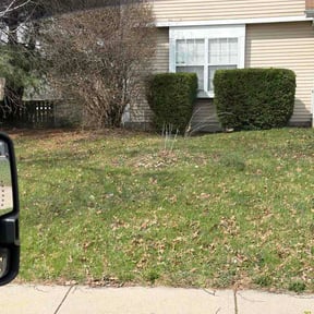 Bush Trimming by All About Grass reviewed on March 17, 2026