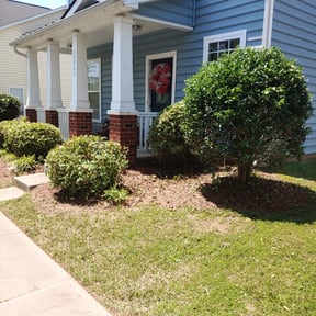 Bush Trimming by JT’s Curb Appeal reviewed on August 17, 2025
