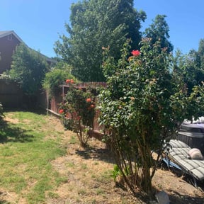 Bush Trimming by The Landscaping Neatniks reviewed on August 15, 2025