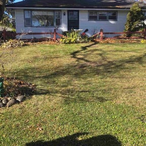 Leaf Removal by AJ Burke reviewed on November 18, 2025